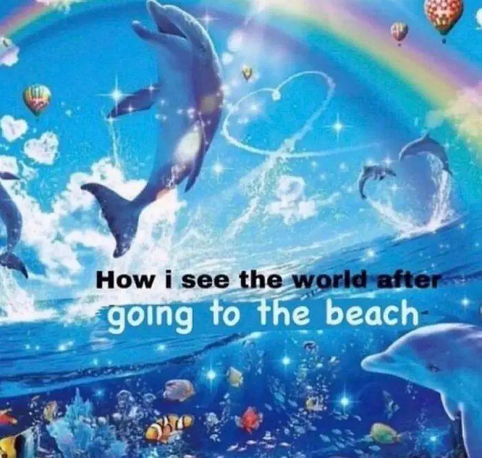 Funny Life Memes 66Ec27Ad91Be3 700