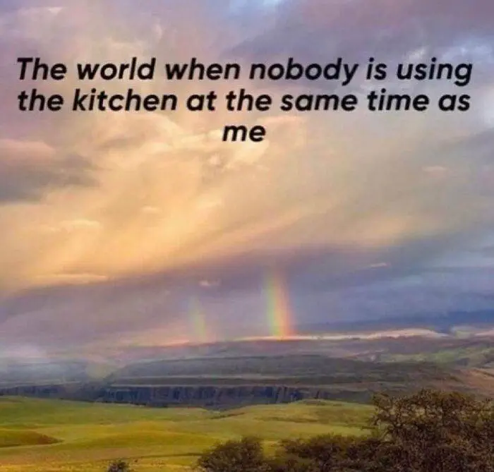Funny Life Memes 66Ec2Ada20146 700