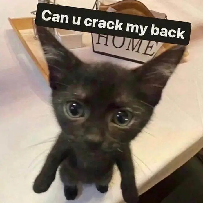 Funny Life Memes 7 66Ec21438Ff5E 700