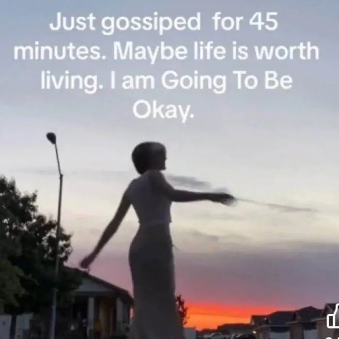 Funny Life Memes 8 66Ec218Be1799 700