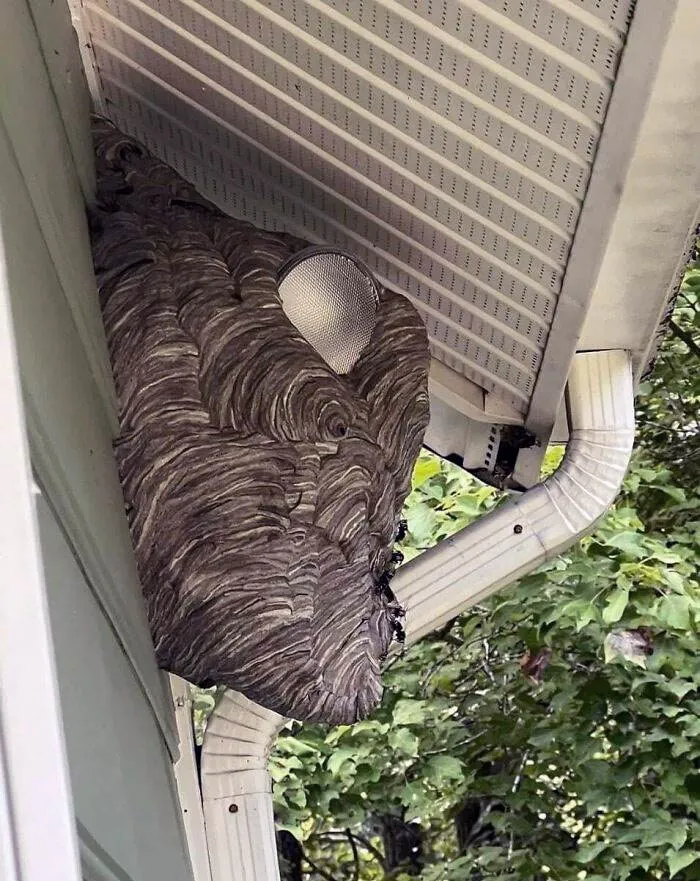 People Having Really Bad Day 3 66Fe8Dc1Dcbd1 700