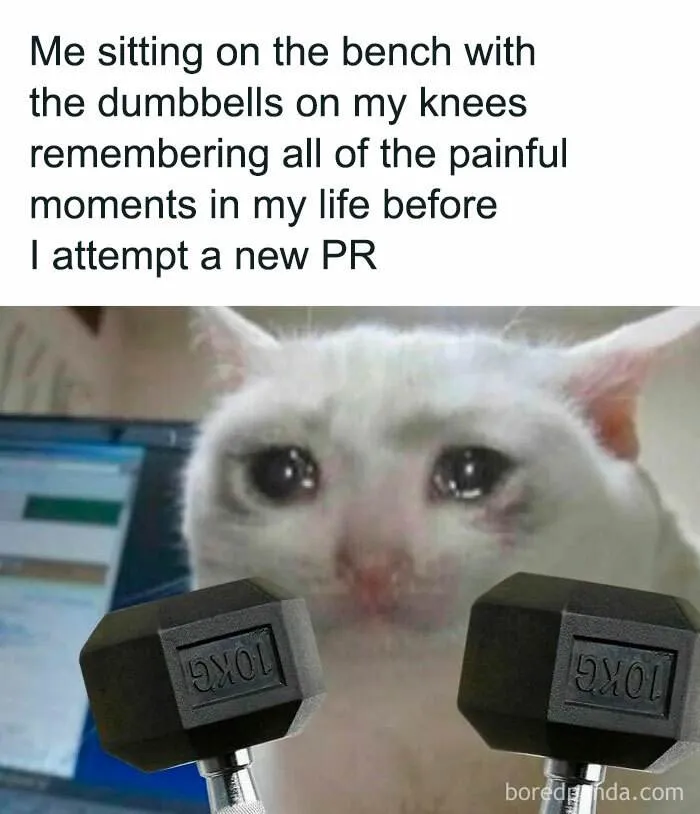 30 Hilarious Gym Memes For Anyone Who's Felt The Pain Of ‘Just One More Rep’