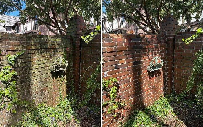 6729D3Afdcdfc Most Satisfying Power Washing Results