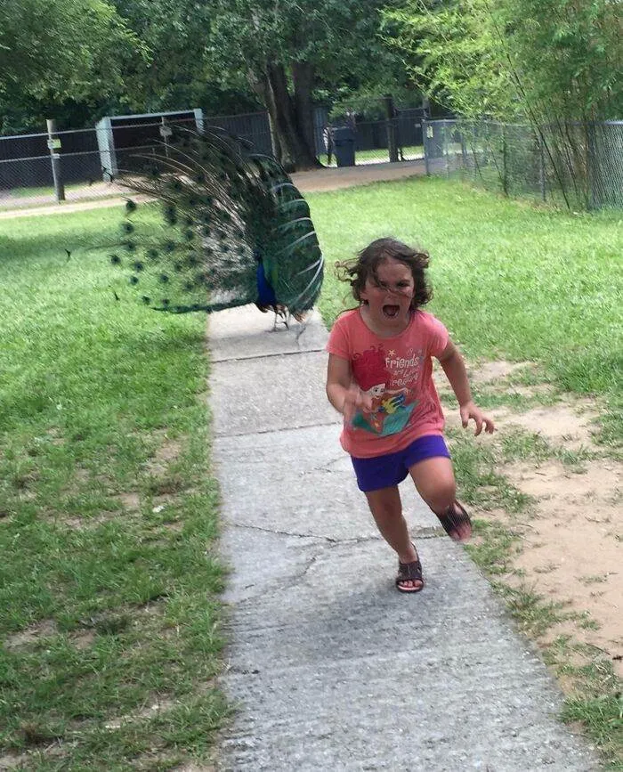 672Ca1Cfbce45 Vacation Fail Pics