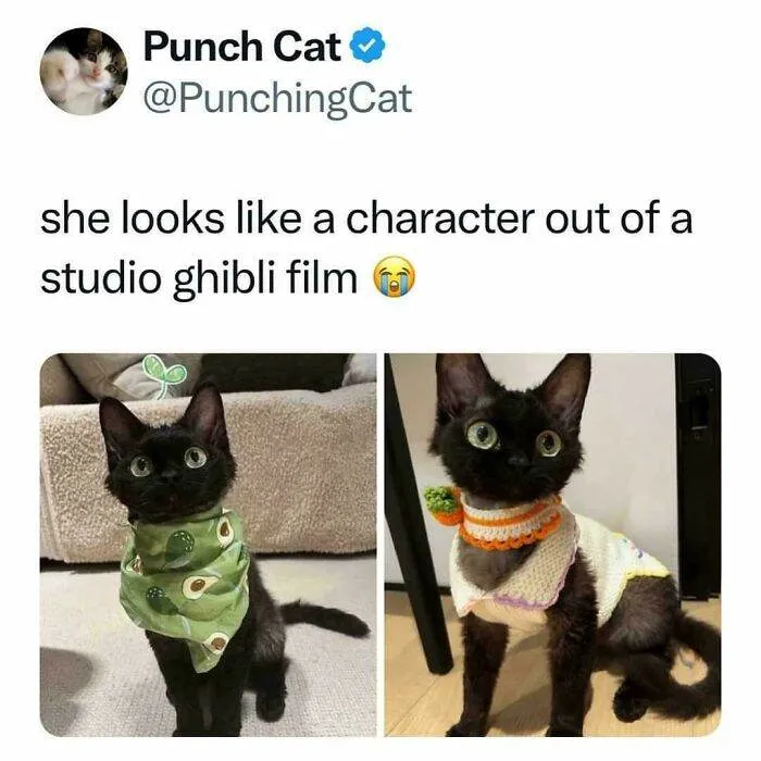 6731C207B3240 2Uzujc0Alxwd1 Jpeg 700