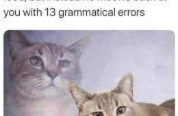 30 Memes Every Cat Owner Will Relate To