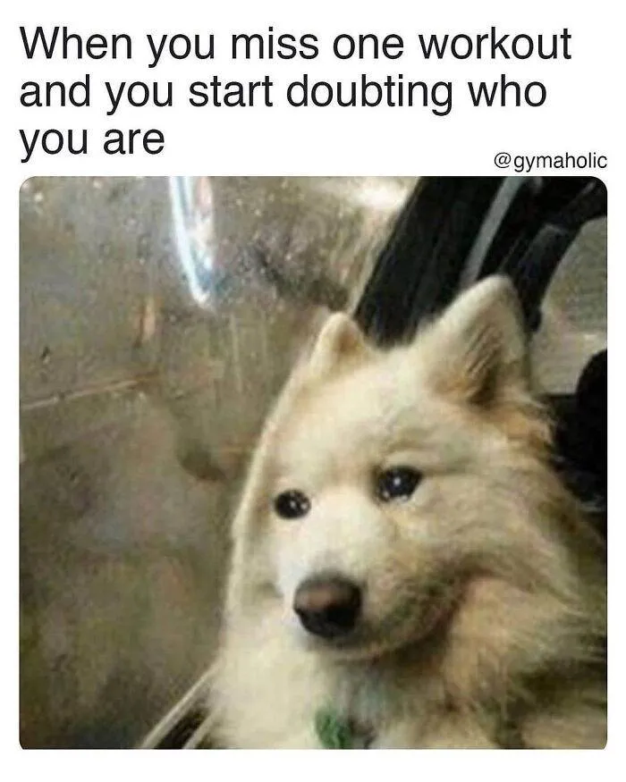 30 Hilarious Gym Memes For Anyone Who's Felt The Pain Of ‘Just One More Rep’