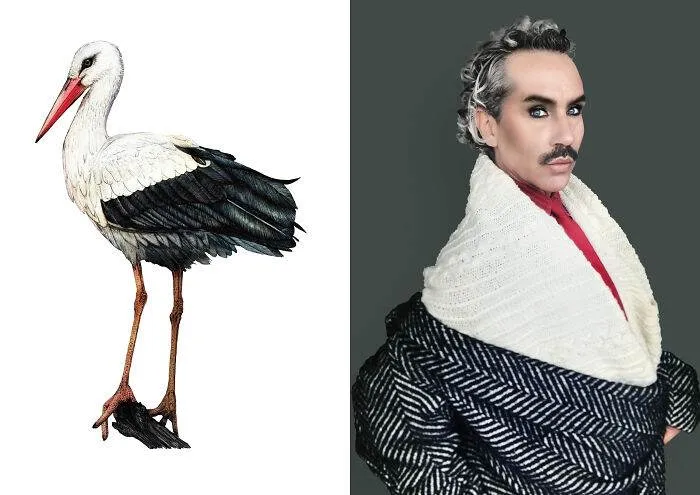 Updated Gentle References 202417 6721F69B0E265 700