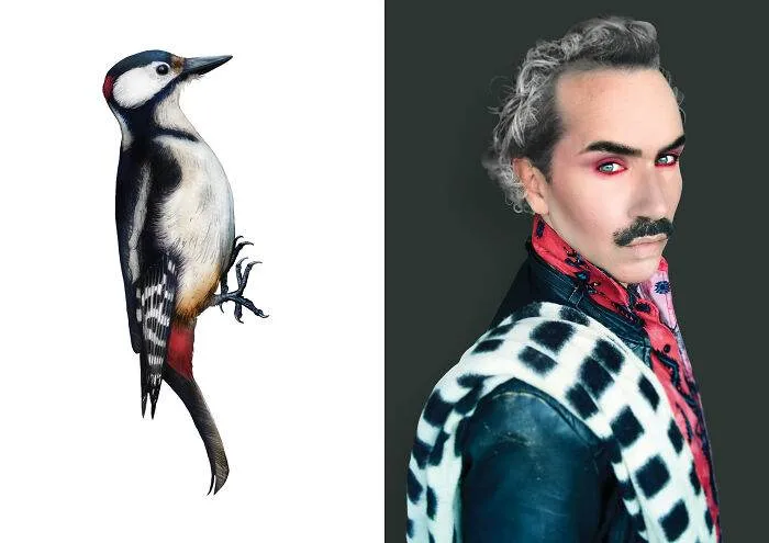 Updated Gentle References 202419 6721F69434A72 700