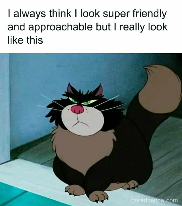 Anxiety Memes Jokes 19 672A0Ba6Ad4Da 700