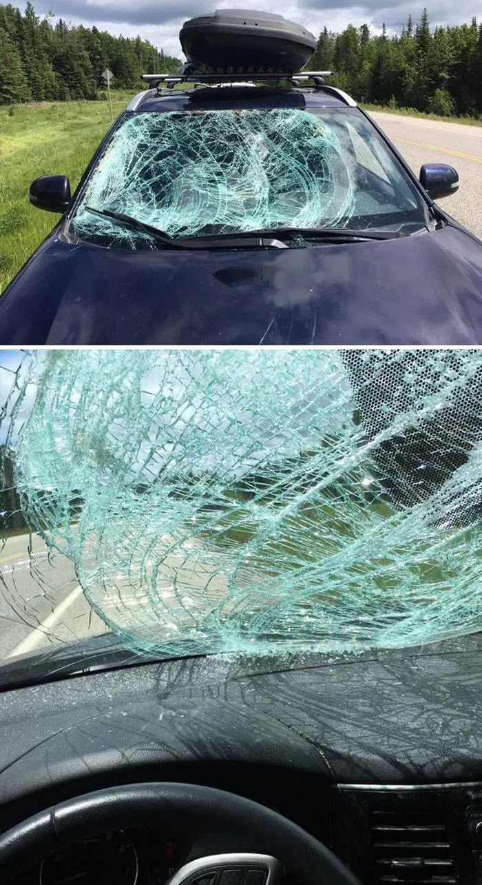 Vacation Fail Pics 4 672Dbe054347A 700