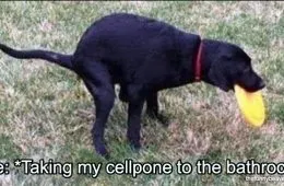 Me Taking My Cellpone To The Bathroom 143487 1