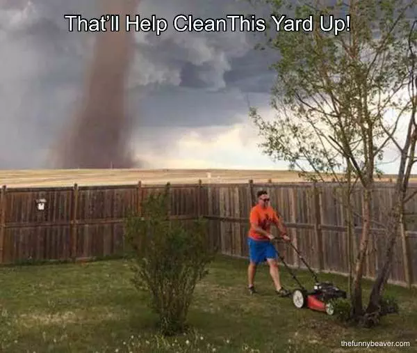 That’ll Help Cleanthis Yard Up!