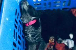 When Its Already 10 Am And Its Nap Time 143900 1