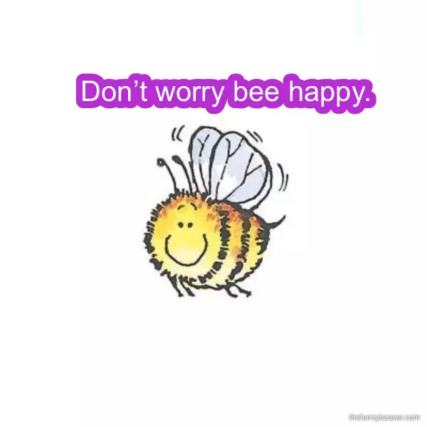 Don’t Worry Bee Happy