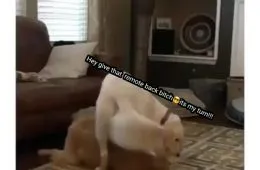 Hey Give That Remote Back Bitchf09Fa493Its My Turn 144968