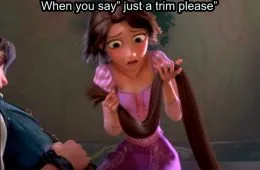 When You Say Just A Trim Please 146162 1