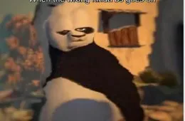 Funny Panda Meme 147890 1