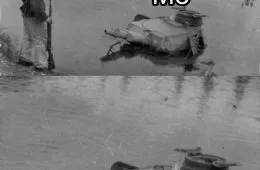 Binge Watching Every Disney Movie There Is Disney Haters Me 148938 1