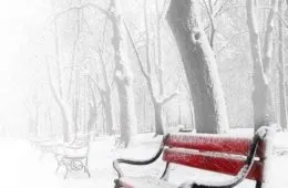 Good Morning From Utica Ny Keep Warm E29D84Efb88F 150853