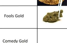 Oh Holy Night 150857 1