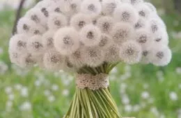 I Dont Know Whether To Cry Over The Beauty Created By Such Delicate 152311 1