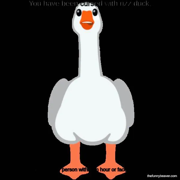 Geese Of Rizz 171461 1