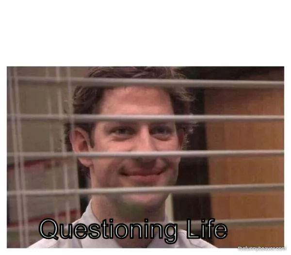 Questioning Life 174672 1