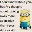 30 Funny Minion Quotes You Need To Read