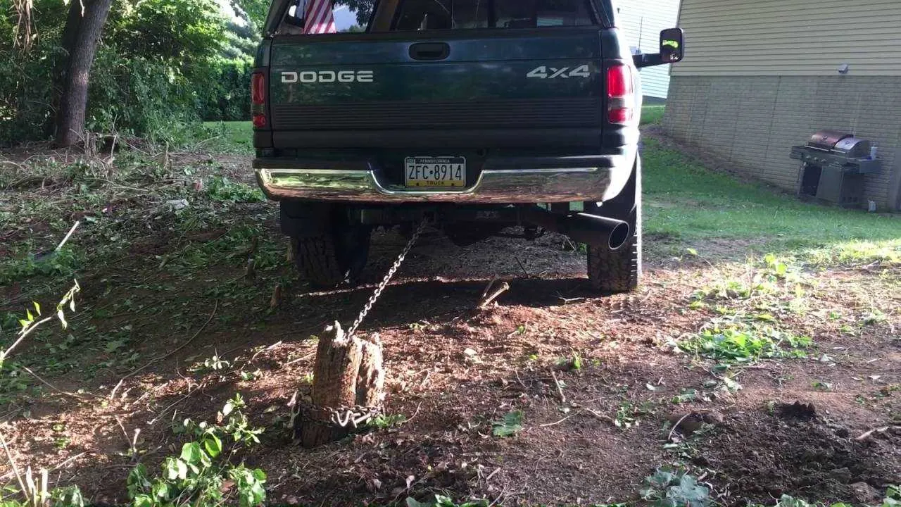 4x4 Truck Vs Tree Watch What Happens Next