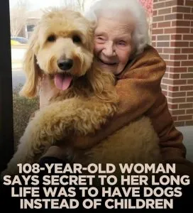 30 Heartwarming Memes For Those Who Prefer Dogs Over