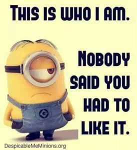 23 Gut-Busting Funny Minion Quotes | The Funny Beaver