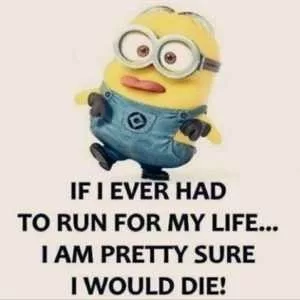 39 Of The Best Minion Memes 