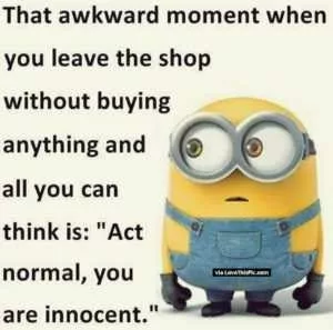 21 Great Funny Minion Quotes