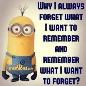 21 Funny Minion Pictures With Sayings You'll Love