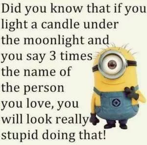 18 Minion Memes For Every Minion Fan