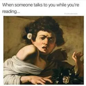 27 Book Memes Because All We Do Is Read, Read, Read