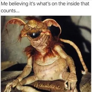 Top 20 Hilarious Animal Meme Pics Of The Day