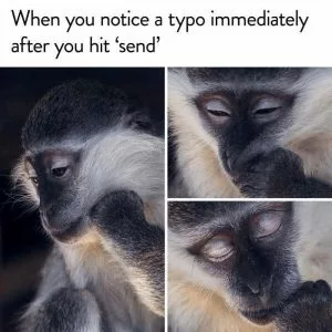 31 Absolutely Funny Animal Memes