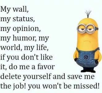 New Funny Minion Pictures And Quotes 017