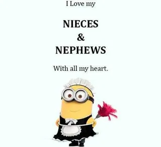 New Funny Minion Pictures And Quotes 018