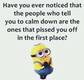 New Funny Minion Pictures And Quotes 027