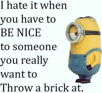 New Funny Minion Pictures And Quotes 037