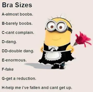 New Funny Minion Pictures And Quotes 047