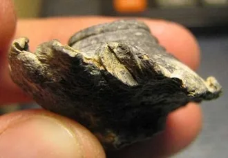 Did These Two Bullets Collide Midair Crimean War