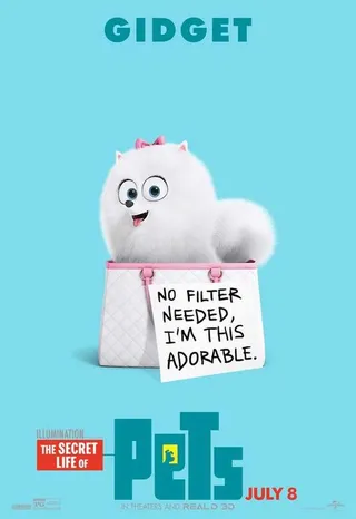 The Secret Life Of Pets Funny Pictures And Quotes 004
