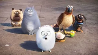 The Secret Life Of Pets Funny Pictures And Quotes 005
