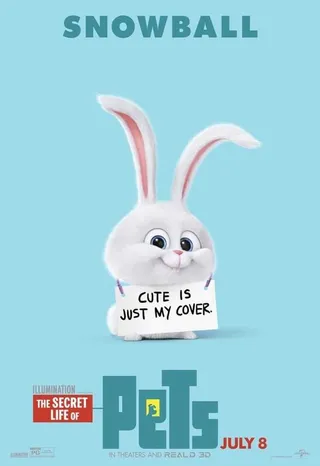The Secret Life Of Pets Funny Pictures And Quotes 007