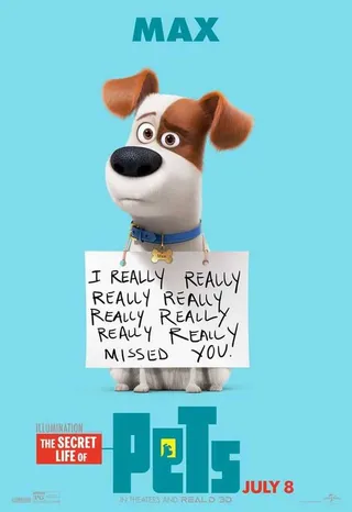 The Secret Life Of Pets Funny Pictures And Quotes 011