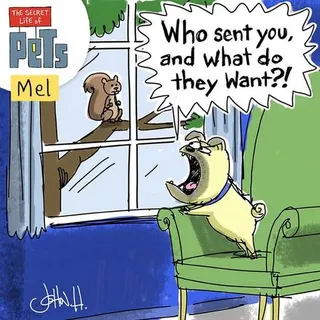 The Secret Life Of Pets Funny Pictures And Quotes 014